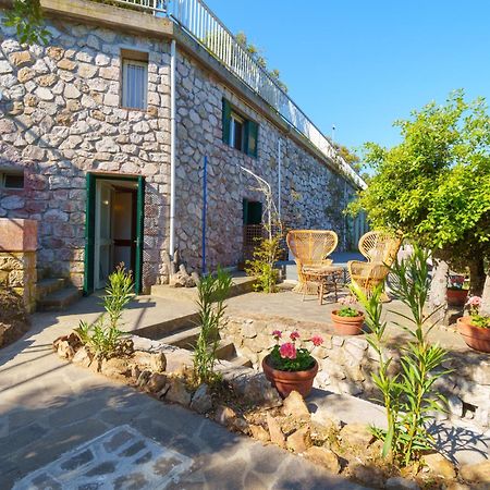 Casa William - Villa E 2 Dependance ปอร์โตอัซซูร์โร ภายนอก รูปภาพ