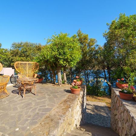 Casa William - Villa E 2 Dependance ปอร์โตอัซซูร์โร ภายนอก รูปภาพ